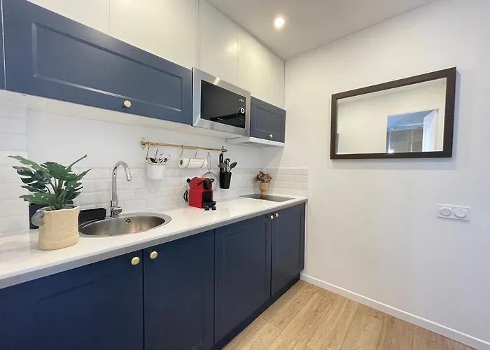 Renting - Fersen - 2 Vieil - Ac - Safranier - Big Terrace * Antibes