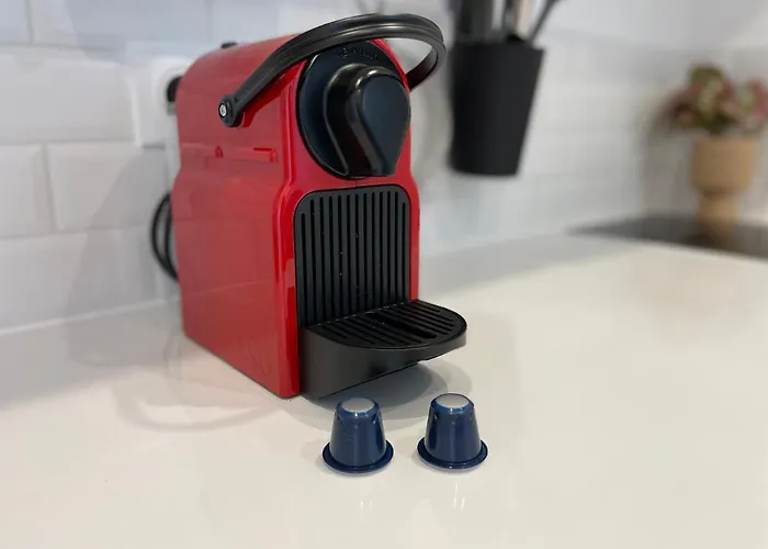 公寓 Renting - Fersen - 2 Vieil - Ac - Safranier - Big Terrace